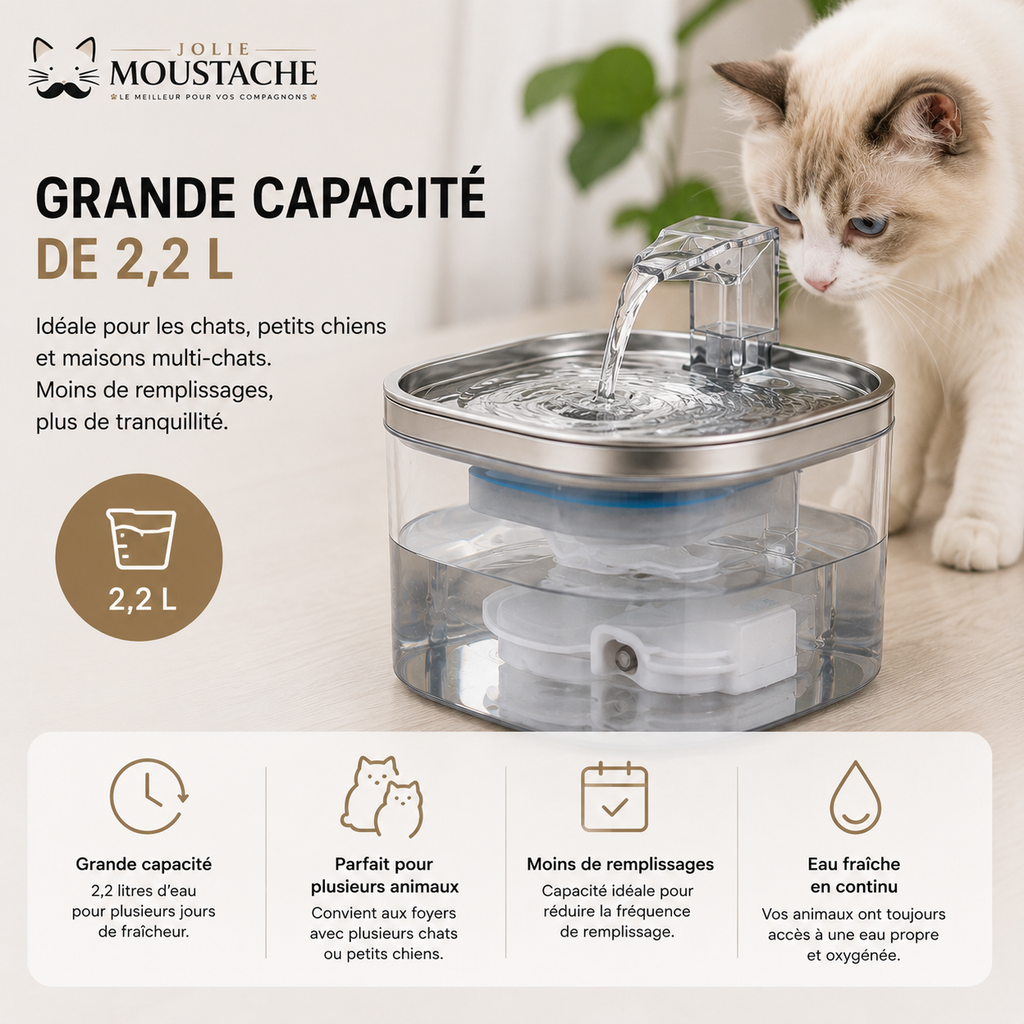 Fontaine à eau – Inox & Détection automatique