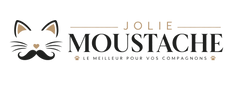 JOLIE MOUSTACHE - Accueil