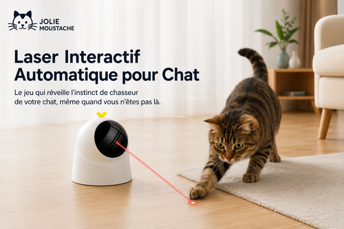 Laser Interactif Automatique pour Chat