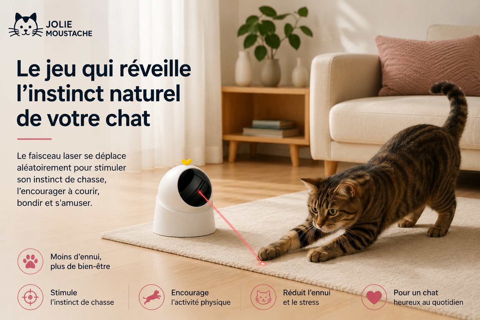 Laser Interactif Automatique pour Chat