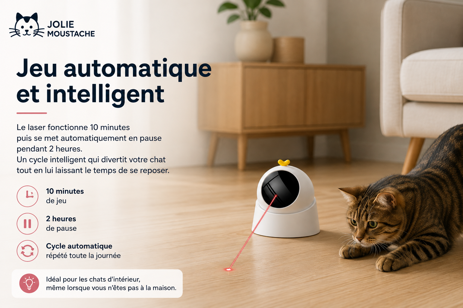 Laser Interactif Automatique pour Chat