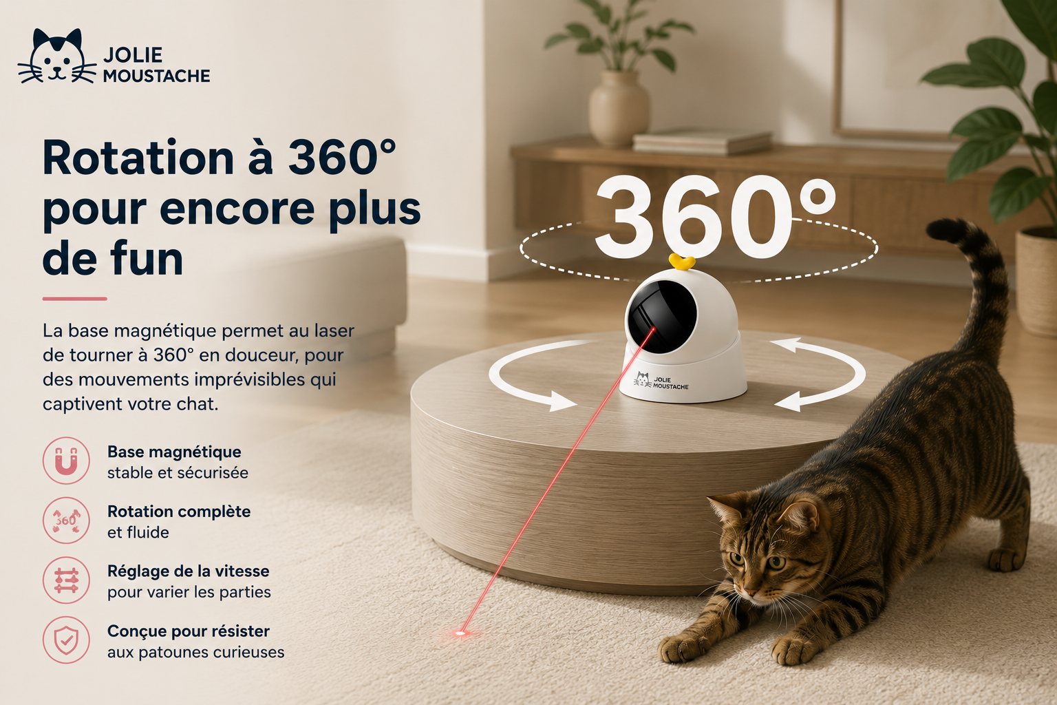 Laser Interactif Automatique pour Chat